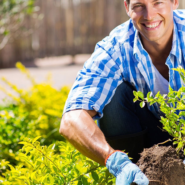 Project Garden