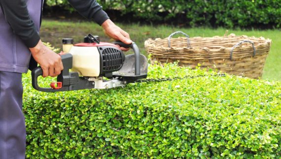 Lawn & Garden Care
